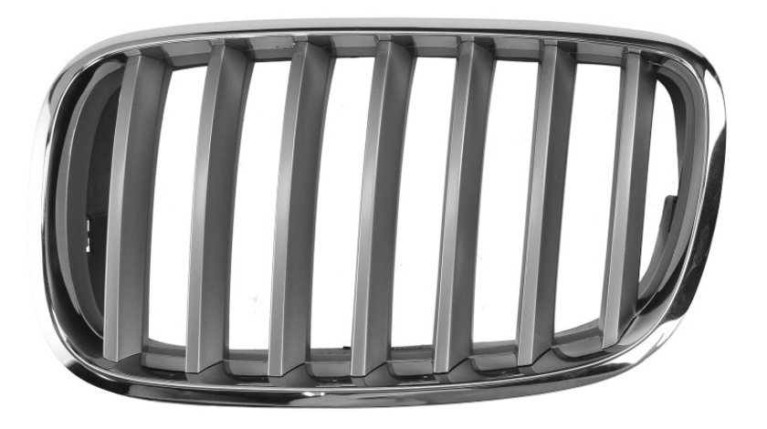 Grila radiator BMW X5 (E70) (2007 - 2013) BLIC 6502-07-0096991PP piesa NOUA