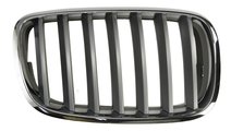 Grila radiator BMW X5 (E70) BLIC 6502-07-0096992PP