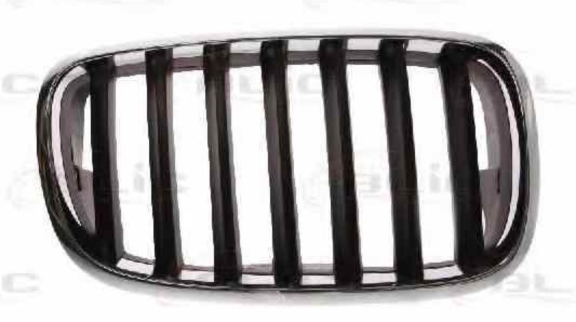 Grila radiator BMW X5 E70 Producator BLIC 6502-07-0096992P