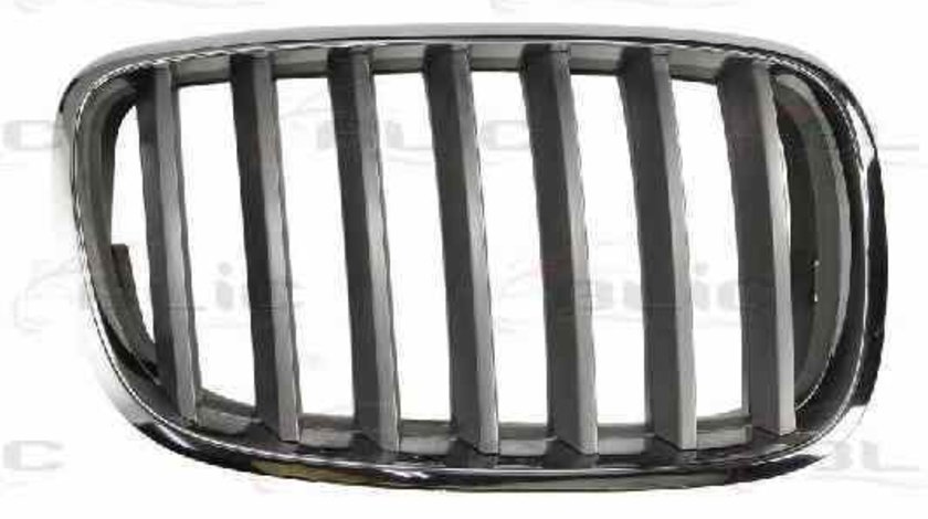 Grila radiator BMW X5 E70 Producator BLIC 6502-07-0096992PP