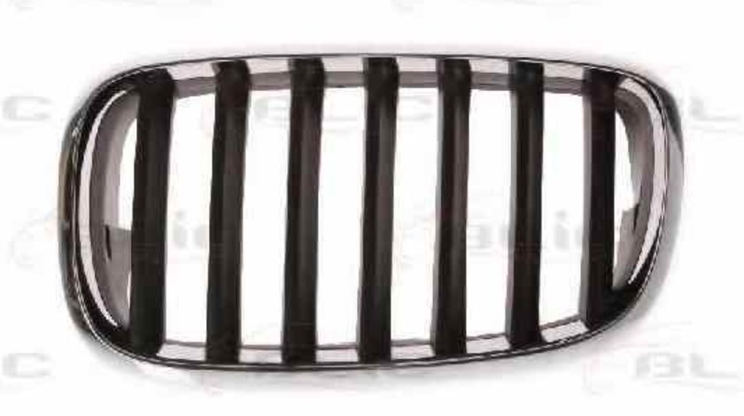 Grila radiator BMW X5 E70 Producator BLIC 6502-07-0096991P