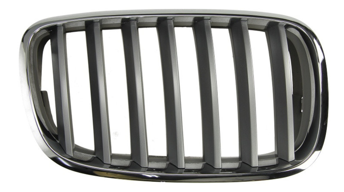 Grila radiator BMW X6 (E71, E72) (2008 - 2014) BLIC 6502-07-0096992PP piesa NOUA