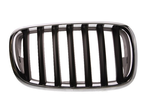 Grila radiator BMW X6 (E71, E72) (2008 - 2014) BLIC 6502-07-0096992P piesa NOUA