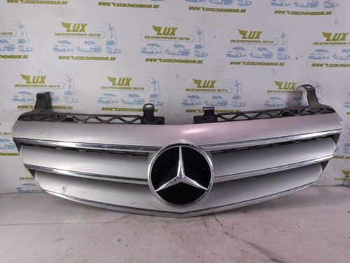 Grila radiator centrala A2518880423 Mercedes-Benz R-Class W251 [2005 - 2010] 3.0 cdi om642.950