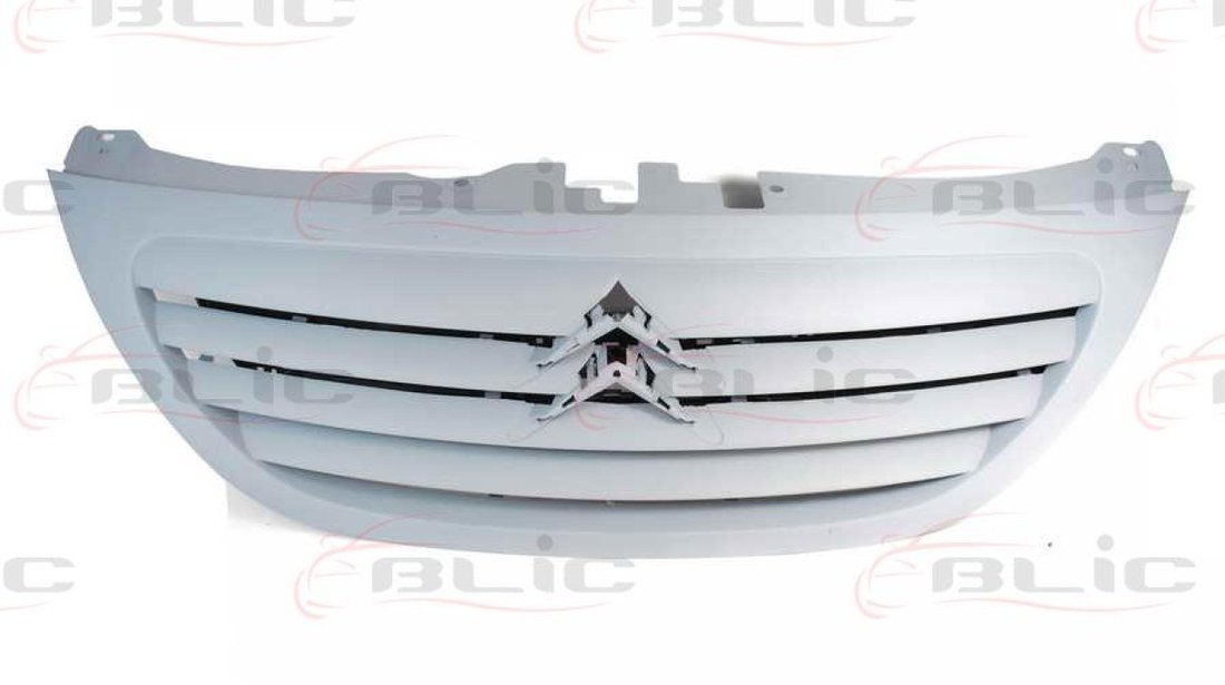 Grila radiator CITROËN C3 I FC Producator BLIC 6502-07-0519990P