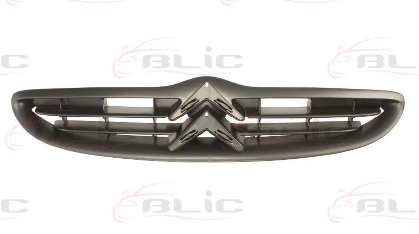 Grila radiator CITROËN SAXO S0 S1 Producator BLIC 6502-07-0518992P