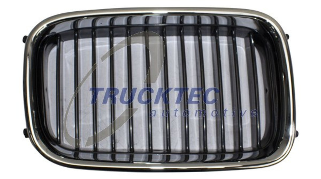 Grila radiator dreapta (0862249 TRUCKTEC) BMW