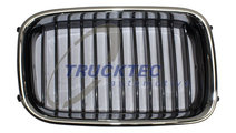 Grila radiator dreapta (0862249 TRUCKTEC) BMW