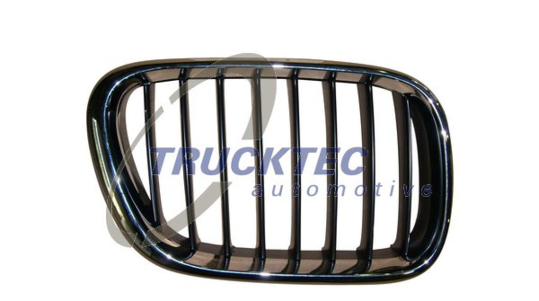 Grila radiator dreapta (0862253 TRUCKTEC) BMW