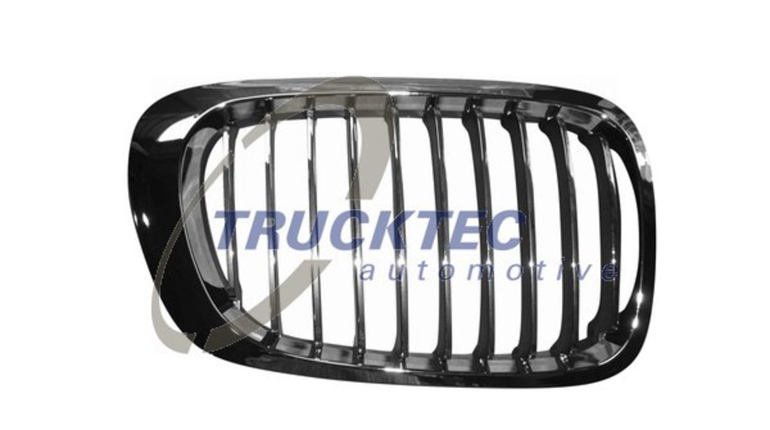 Grila radiator dreapta (0862254 TRUCKTEC) BMW