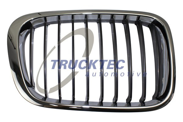 Grila radiator dreapta (0862258 TRUCKTEC) BMW