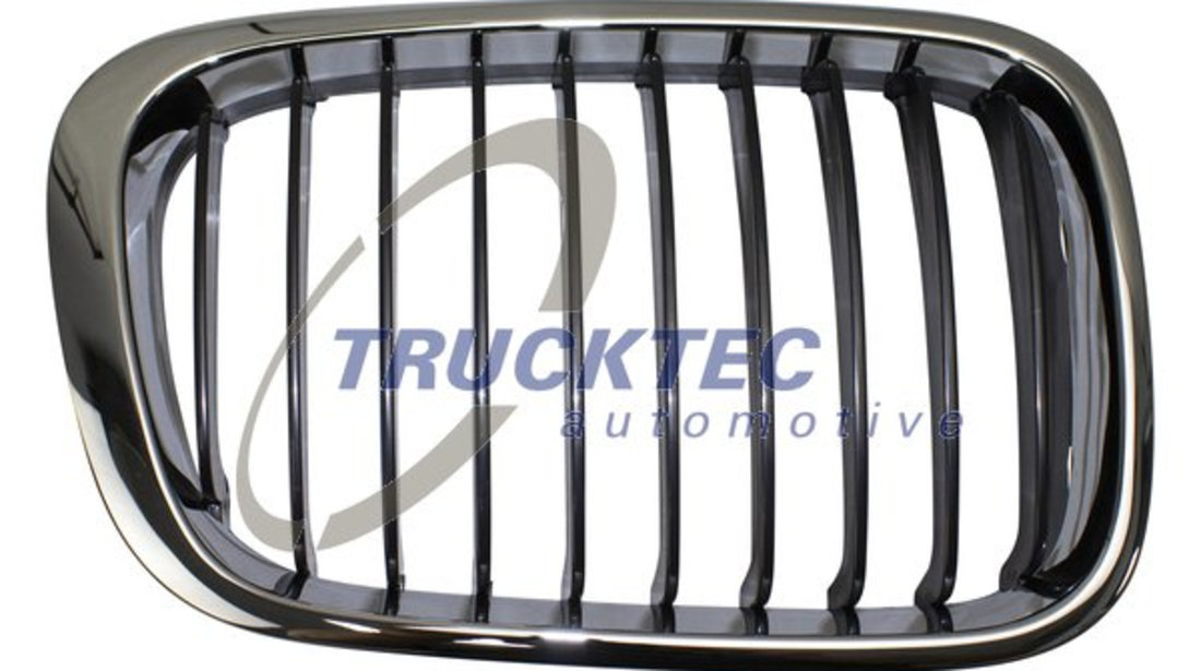 Grila radiator dreapta (0862258 TRUCKTEC) BMW