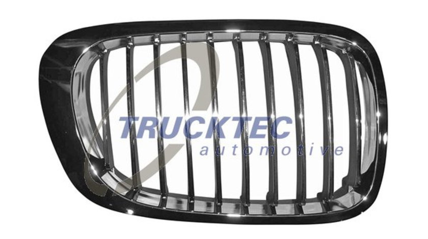 Grila radiator dreapta (0862304 TRUCKTEC) BMW