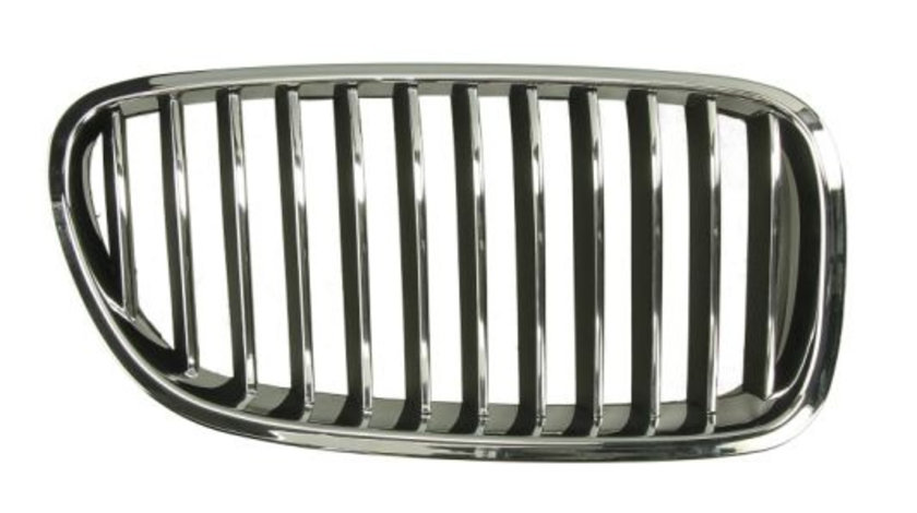 Grila radiator dreapta (6502070067994P BLIC) BMW