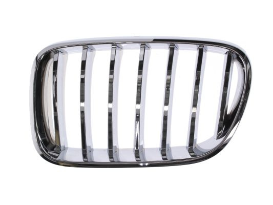 Grila radiator dreapta (6502070093998PP BLIC) BMW