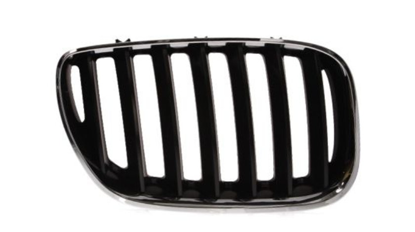 Grila radiator dreapta (6502070095996P BLIC) BMW