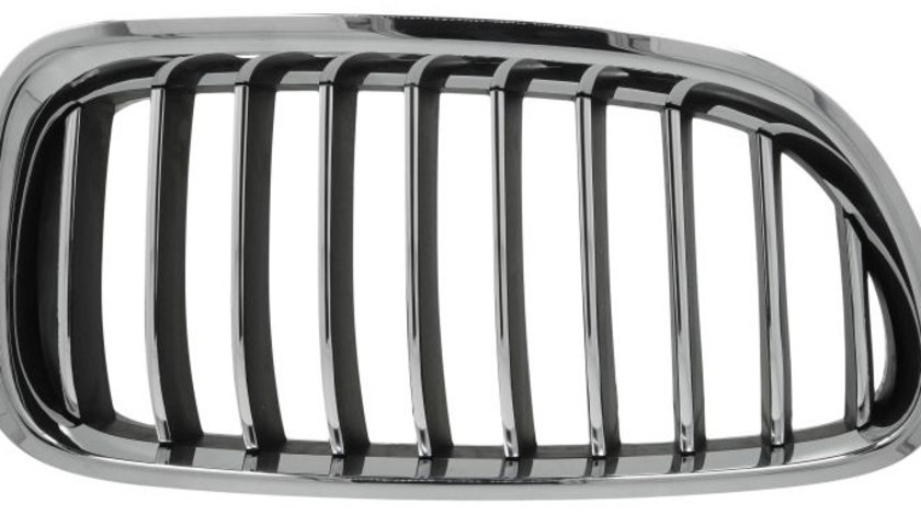 Grila Radiator Dreapta Blic Bmw Seria 5 F10 2009-2013 6502-07-0067998P