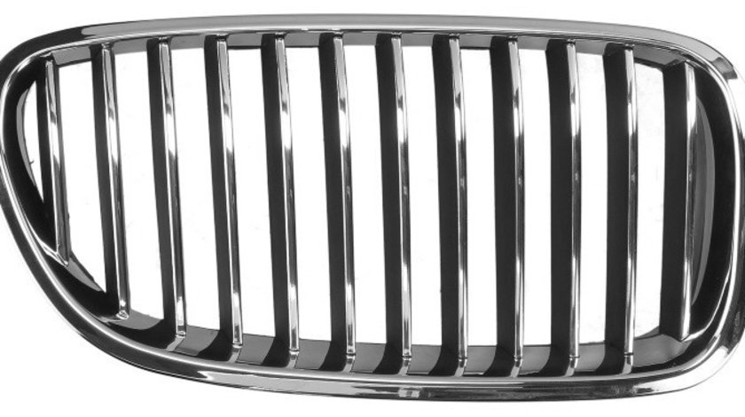 Grila Radiator Dreapta Blic Bmw Seria 5 F11 2009-2013 6502-07-0067994P