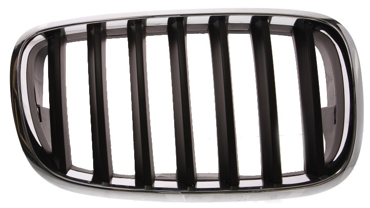Grila Radiator Dreapta Blic Bmw X5 E70 2007-2010 6502-07-0096992P