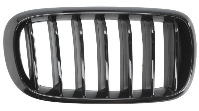 Grila Radiator Dreapta Blic Bmw X5 F15 2013-2019 M-Pachet 6502-07-00969988P