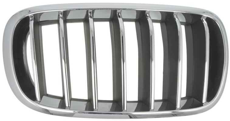 Grila Radiator Dreapta Blic Bmw X5 F15, F85 2013-2018 6502-07-00969944P