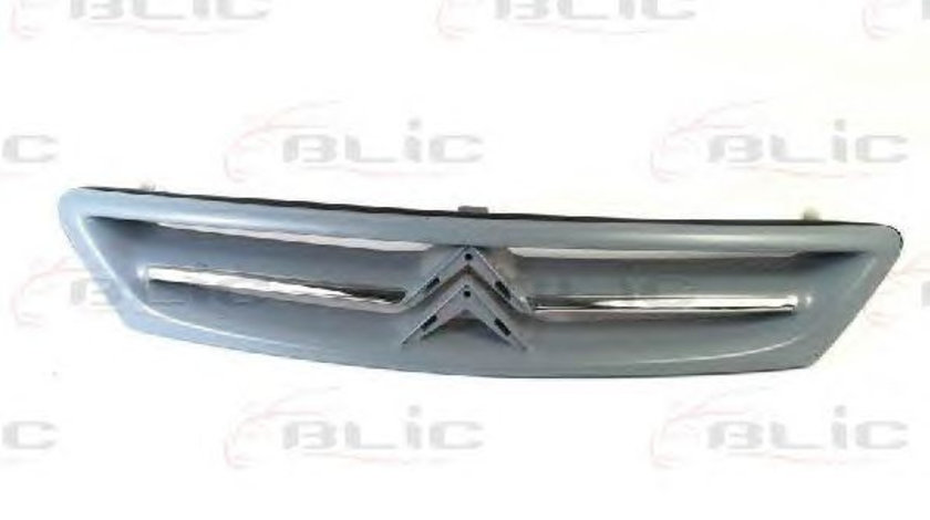 Grila radiator fata (6502070535990P BLIC) Citroen