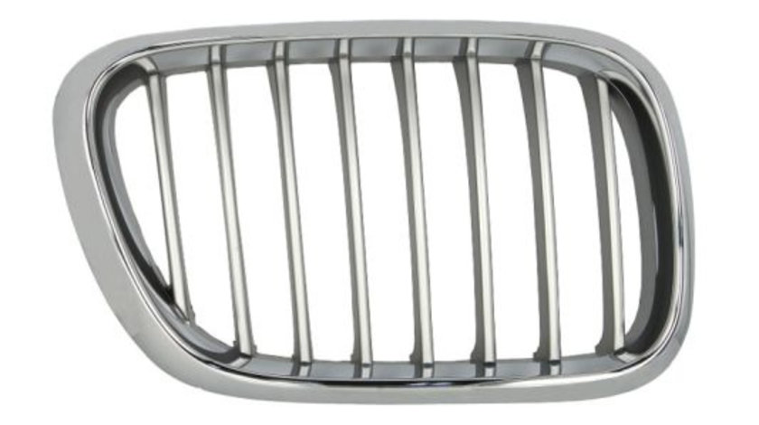 Grila radiator fata dreapta (6502070095992P BLIC) BMW