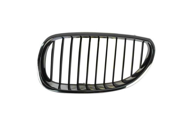 Grila radiator fata stanga (6502070066991P BLIC) BMW