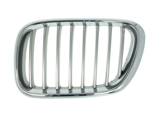 Grila radiator fata stanga (6502070095991P BLIC) BMW