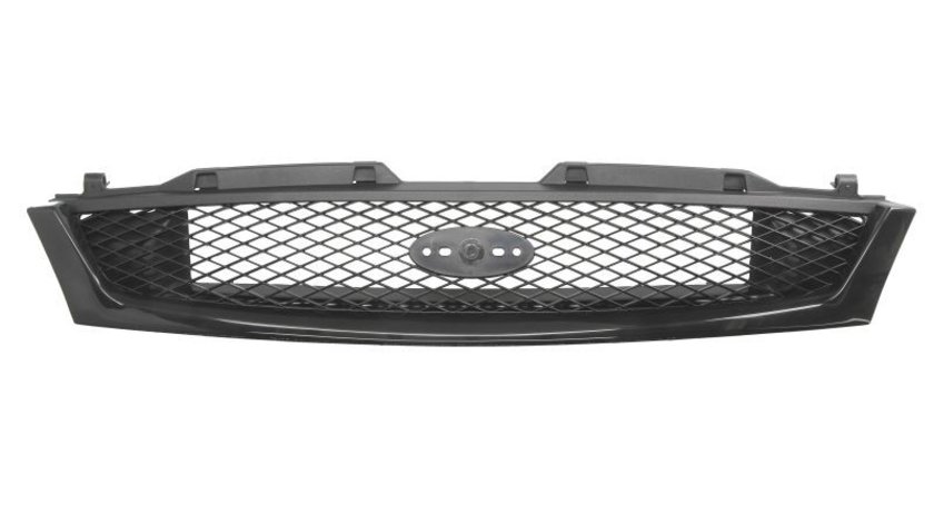 Grila radiator FORD FIESTA IV (JA_, JB_) BLIC 6502-07-2563992P