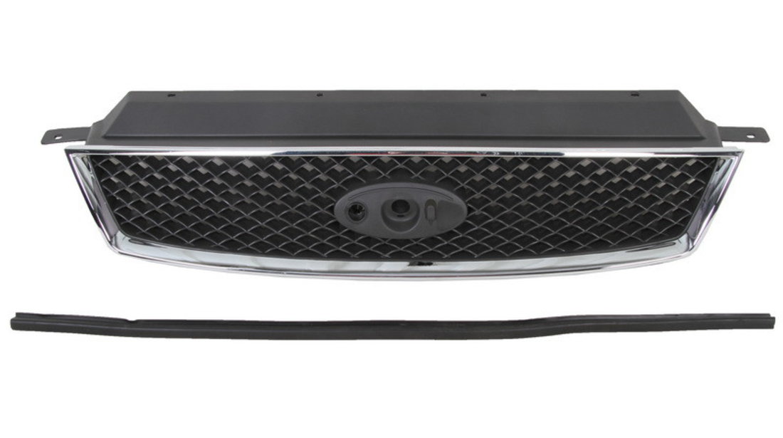 Grila radiator FORD FOCUS C-MAX (DM2) BLIC 6502-07-2534991P