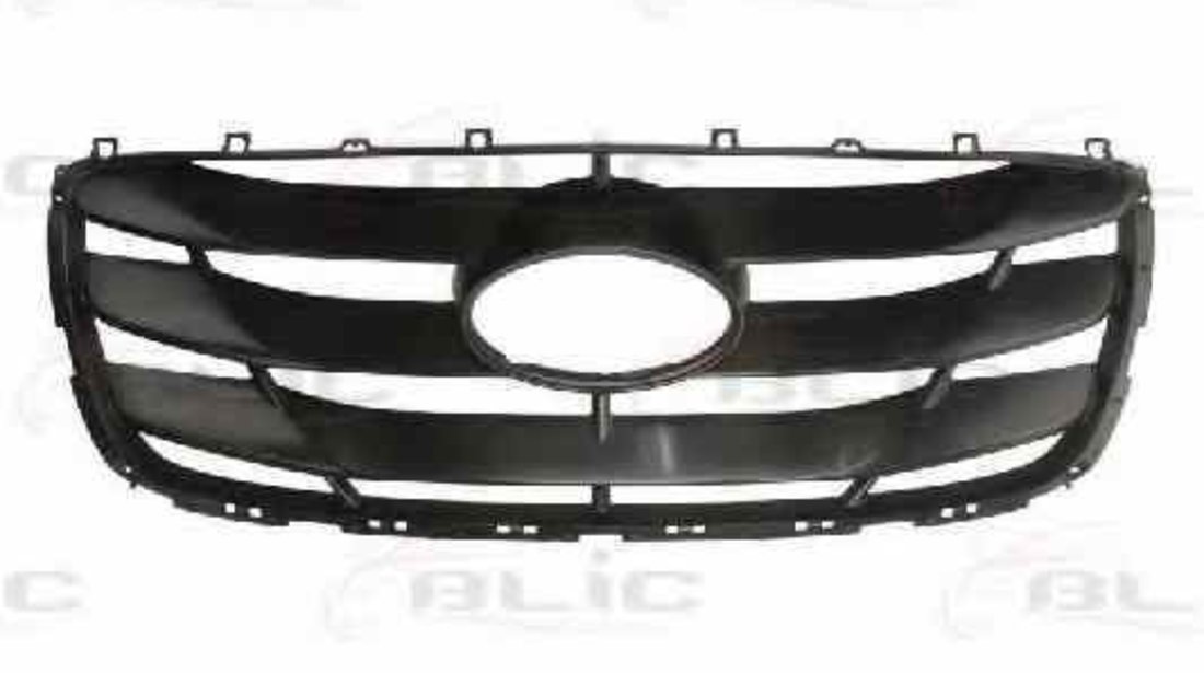 Grila radiator HYUNDAI SANTA FÉ II CM BLIC 6502-07-3181991P