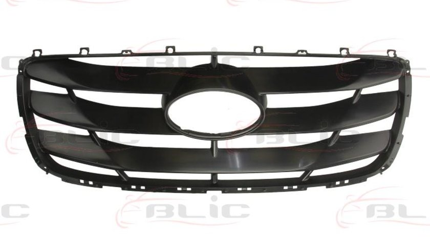 Grila radiator HYUNDAI SANTA FÉ II CM Producator BLIC 6502-07-3181991P