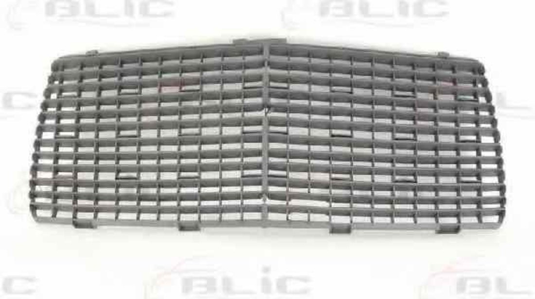 Grila radiator MERCEDES-BENZ E-CLASS W124 BLIC 6502-07-3526996P