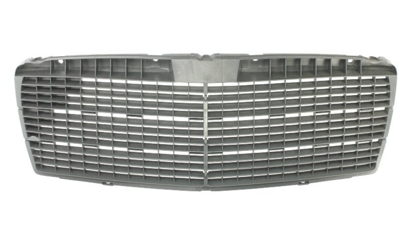 Grila radiator MERCEDES-BENZ E-CLASS (W210) BLIC 6502-07-3527990P