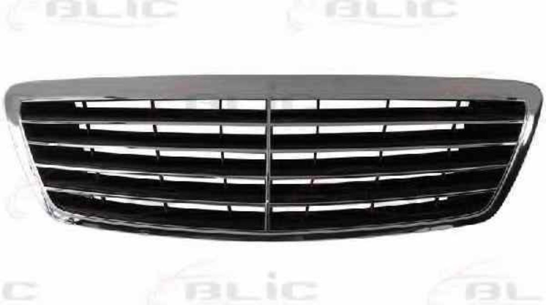 Grila radiator MERCEDES-BENZ S-CLASS W220 BLIC 6502-07-3517991P