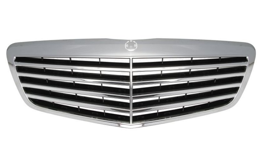 Grila radiator MERCEDES-BENZ S-CLASS (W221) BLIC 6502-07-3514992P