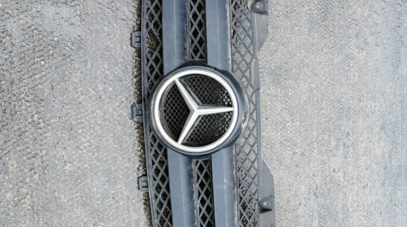 Grila radiator Mercedes Sprinter W905 2008 Duba 2.2