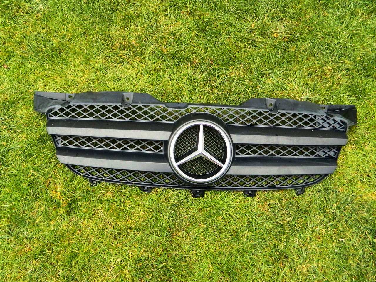 Grila radiator Mercedes Sprinter W906 an 2006 cod A9068800385