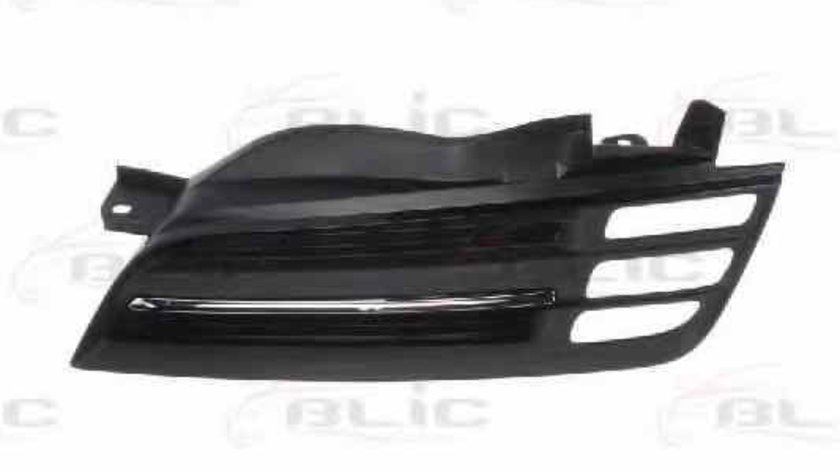 Grila radiator NISSAN MICRA III K12 Producator BLIC 6502-07-1609992P