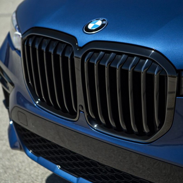 Grila Radiator Oe Bmw X7 G07 2018→ 51138745730