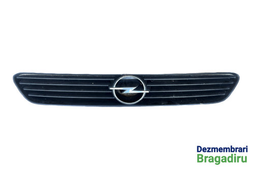 Grila radiator Opel Astra G [1998 - 2009] Hatchback 5-usi 1.6 Twinport MT (103 hp)