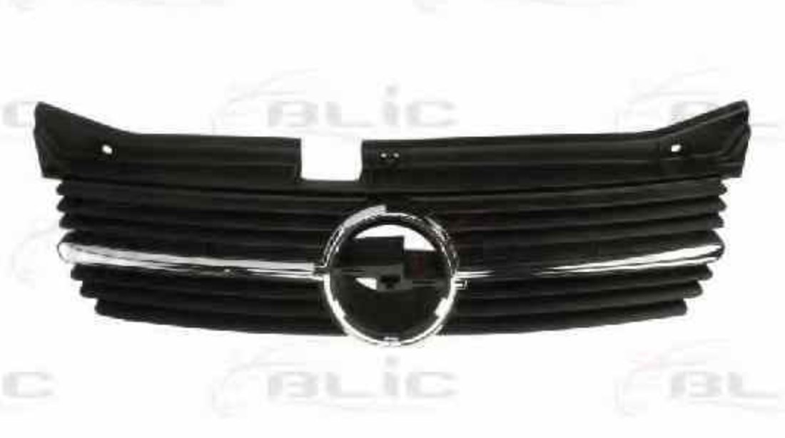 Grila radiator OPEL OMEGA B 25 26 27 BLIC 6502-07-5040990P