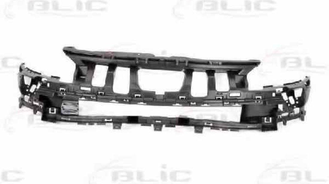 Grila radiator PEUGEOT PARTNER Tepee BLIC 5502-00-5562940P