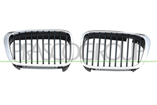 Grila Radiator Prasco Bmw BM0182024