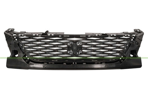 Grila Radiator Prasco Seat ST4262001