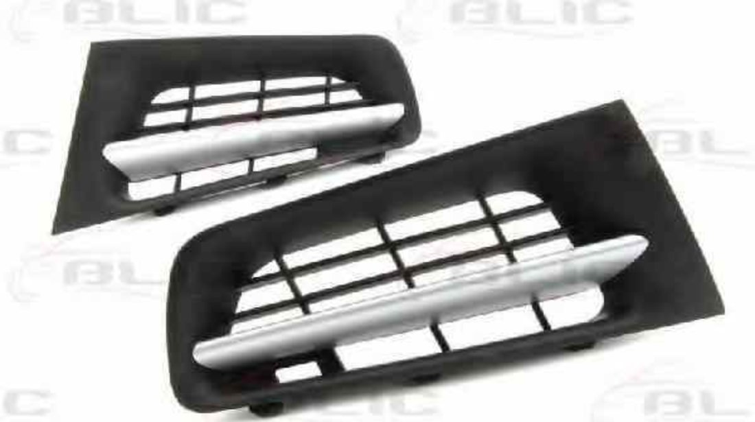 Grila radiator RENAULT MEGANE II BM0/1 CM0/1 BLIC 6502-07-6041995P