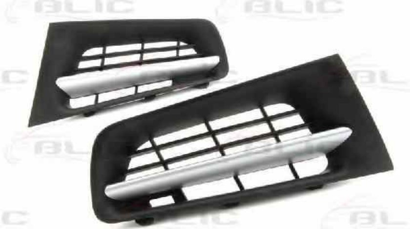 Grila radiator RENAULT MEGANE II BM0/1 CM0/1 Producator BLIC 6502-07-6041995P