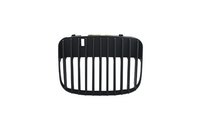 GRILA RADIATOR SEAT LEON/TOLEDO BLACK -COD FKSG079