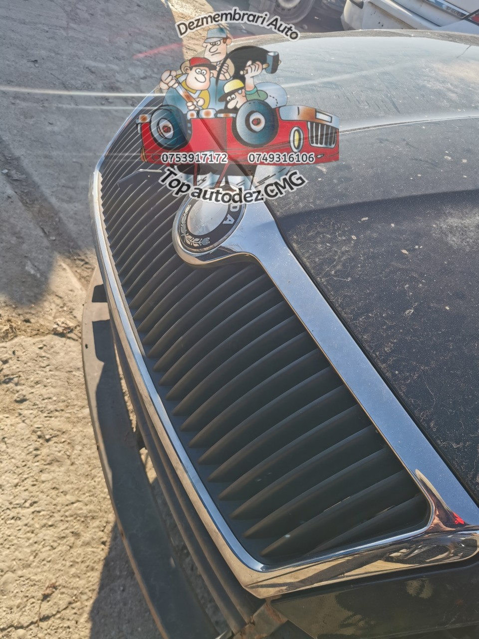 Grila radiator Skoda Octavia 2 grila capota piese dezmembrez